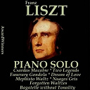 Alfred Brendel / Arthur Rubinstein / Byron Janis / Emil Gilels / Gy&ouml;rgy Cziffra / Lazar Berman / Spike Jones / Sviatoslav Richter / Tamas Vasary / Vladimir Ashkenazy / Vladimir Horowitz / Wilhelm Kempff - Liszt, vol. 6 : piano solo (awardwinners)