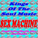 Brook Benton / Gladys Knight & The Pips / Harold Melvin / Ike & Tina Turner / James Brown / Marvin Gaye / Percy Sledge / Sam & Dave / Teddy Pendergrass / The Blue Notes / The Chi-Lites / The Commodores / The Delfonics / Wilson Pickett - Kings of the soul music : sex machine (james brown, marvin gaye and friends)