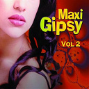 Chico Fuentes / El Capitan / Gloria Lasso / Juan Cortez / Juanito / Los Chiquitos / Los Garcia / Luna Bianca / San Diego / Sandrino / S&eacute;bastien El Chato - Maxi gipsy latino (vol. 2)