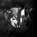 Dust-Theority - Wolves
