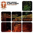 Eric Laville / Fred Closer - Tribe land ep