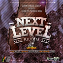 B. Anthony / Chiney K / Chiney K Productions / Delly Ranx / Don Royal / Elephant Man / Future Fambo / Gangooli / Monster Empire / Motion / Mr. Chumps / Nitty Kutchie / Power Man / Sizzla / Turbulance / Wickerman - Next level riddim
