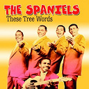 The Spaniels - These tree words