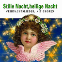 Berliner Motetten Chor / Bielefelder Kinderchor / Chor Der St. Hedwigs, Kathedrale Berlin / Kirchenchor, Turmbl&auml;ser / Perry Como / S&auml;ngerknaben Vom Wiederwald / Thomanerchor Unter Leitung Von G&uuml;nther Ramin - Stille nacht, heilige nacht (weihnachtslieder mit ch&ouml;ren)