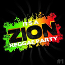 Acoustic Soul Lions / Ashkabad / Bob Wasa / Danakil / Dub Inc / Fighting Reason / Jah Gaia / Jah Legacy / Jayadeva / Mystical Faya / Natty Jean / Natty Princess / Pancho / Positive Roots Band / Rod Taylor / Shaman Culture / Soul Sindikate & Dub Trooper / The Banyans / Tonton Alex - It's a zion reggae party, vol. 1
