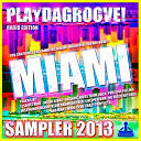Creeperfunk / Elsa Del Mar / Hot Pool / Instrumenjackin / Jason Rivas / Klum Baumgartner / Muzzika Global / Nu Disco Bitches / Organic Noise From Ibiza / Positive Feeling - Playdagroove! miami sampler 2013 (radio edition)
