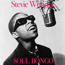 Stevie Wonder - Soul bongo