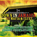 Adele Harley / Baby G / Chezidek / Conrad Crystal / Cornell Campbell / Dean Fraser / Fluxy / George Nooks / Glen Washington / Keefaz / Lutan Fyah / Perfect / Ras Mac Bean / Richie Davis / Suga Roy / Sylvia Tella / Tanya Stephens / The Mafia - Down in jamaica riddim
