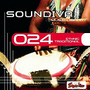 Alessandro Esposti / Aniello Coppola / Enrico Tomat / Fabrizio Martini / Livio Boccioni / Luca Antonini / Luca Brunetti / Mario Capuani / Massimiliano Lazzaretti / Stephen Gilbert / Tommaso Pau / Vincenzo Ricca - Ethnic traditional, vol.2