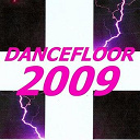 Anaklein / Bounce Inc / David Tort / Dj Funky Rickstar / Dj Hs / Dj Murphy / Electrobass / Flashmen / French Butchers / Groove Sirkus / Groovezone / Madrid Inc / Mc Shurakano / Nightraxx / Senateur Maze / Steevy Gee / Syndicate Of Law / Tlmd / Toxic 101 / X-Filter - Dancefloor 2009