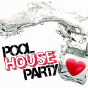 Addict Djs / Bibi Bastian, Dodge Harris / Digital Mode / Flash Republic / French Government / French Poison / Gregori Klosman, Danny Wild / Hell Ektrik / Idf / Nael Atess / Nino Anthony / Sven-K / Tom Chris / Vantraxx - Pool house party