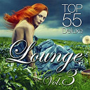 351 Lake Shore Drive / 8000below / Aim&eacute;e Sol / Al Faris / Andrew Wooden / Aqualise / Asheni / Barclay / But / Cecil From C&oacute;rdoba / Cidade Sol / Cream / David Kayy / De Madrugada / Dipolar / El Guapo / Esteban N. Garcia / Fell / Guenter Haas / Guss / Honey / James Bright / Jasmin Del Sol / Johannes Jaeger / Jury Jet / Lazy Hammock / Lexmatic / Living Room / Lounge Deluxe / Lounge Jam / Marga Sol / Mariella Montana / Mariella Narvaez / Matisse / Michael E / Minusblue / Miodrag Sumonja / M&eacute;mo / Newton / Redlounge Orchestra / Rhodescreen / Santah / Sonique From Paris / Soulavenue / Stargazer / Sunburn In Cyprus / Thomas Lemmer / Zen Space - Lounge top 55, vol.3 (deluxe)