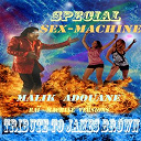 Malik Adouane - Special sex-machine: tribute to james brown (ra&iuml;-machine versions)