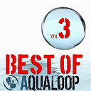A1 Project / Axel Coon / Bass T / Coon, Zx / Dj K / Dj Lee / Frank Raven / Franky Tunes / Jushi / Ole Van Dansk / Pinball / Pulsedriver / Redwing / Rocco / Skyscrapers / Solar Patrol / Topmodelz / Van Der Karsten - Best of aqualoop, vol. 3