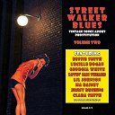 Bertha "Chippie" Hill / Bessie Smith / Clara Smith / Georgia White / Irene Scruggs / Jimmy Rushing / Lil Johnson / Lonnie Johnson / Lovin' Sam Theard / Lucille Bogan / Ma Rainey / Maggie Jones - Street walker blues: vintage songs about prostitution, vol. 2