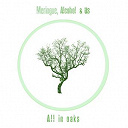 Alcohol & Us / Meringue - All in oaks