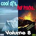 Antibazz Vs Deep Melange / D / D Project / Euphoria / Frank Van Polanen / Jennifer K / Milo Nl Vs Cj Stone / Ritmo Intacto / Roy Gates / Swax / Team X / Tiara / Youne - Cool dj's, hot tracks - vol. 8