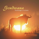 Gondwana - Gondwana