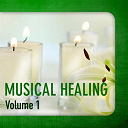 Ayuthya / Bruno Philip / Dominique Verdan / Emmanuelle Hildebert / Frederick Rousseau / Jaya Satria, Yoan Marine / Jean-Pierre Limborg / Laurent Dury / Michel Goubin / Will Dorf / Willdorf - Musical healing (volume 1)