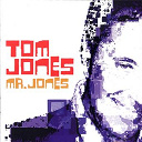 Tom Jones - Mr. jones