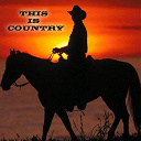 Benny Barnes / Carl Belew / Conway Twitty / Dave Dudley / Earl Scruggs / Faron Young / George Jones / Jan Howard / Jeannie C. Riley / Jerry Wallace / Johnny Cash / Johnny Paycheck / Lester Flatt / Patsy Cline / Roger Miller - This is country