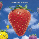 The Lightning Seeds - Jollification