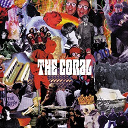 The Coral - The coral
