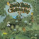 The Beach Boys - Smiley smile (mono & stereo remaster)