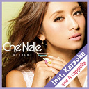 Che'nelle - Believe (instrumental, karaoke and a cappella)