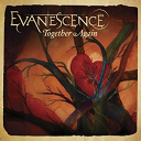 Evanescence - Together again