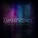 Evanescence - What you want