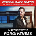 Matthew West - Forgiveness (performance tracks) - ep