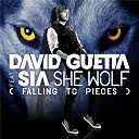 David Guetta - She wolf (falling to pieces) (feat.sia)