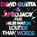 David Guetta - Louder than words