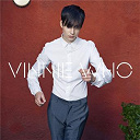 Vinnie Who - The wiggle (radio edit)