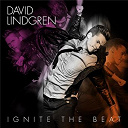 David Lindgren - Ignite the beat