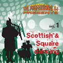 The Professional Dj - Scottish and square dancing, vol. 1