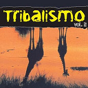 Acapulco / Borracha / Congaman / Criminal Cesar / Desaparecidos Vs Walter Master J / Little Exuma / Luca Fregonese & The Afromind / Misteresse / Robbie Rivera / Simon F / Wet Potatoes - Tribalismo vol. 2